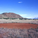 Image for article titled The mysterious fairy circles of Namibia